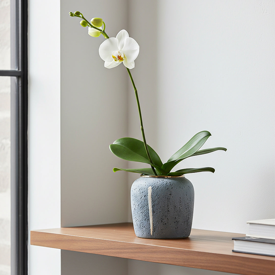 Grey Small Ceramic Flower Vase Elegant Living Room Home Decor