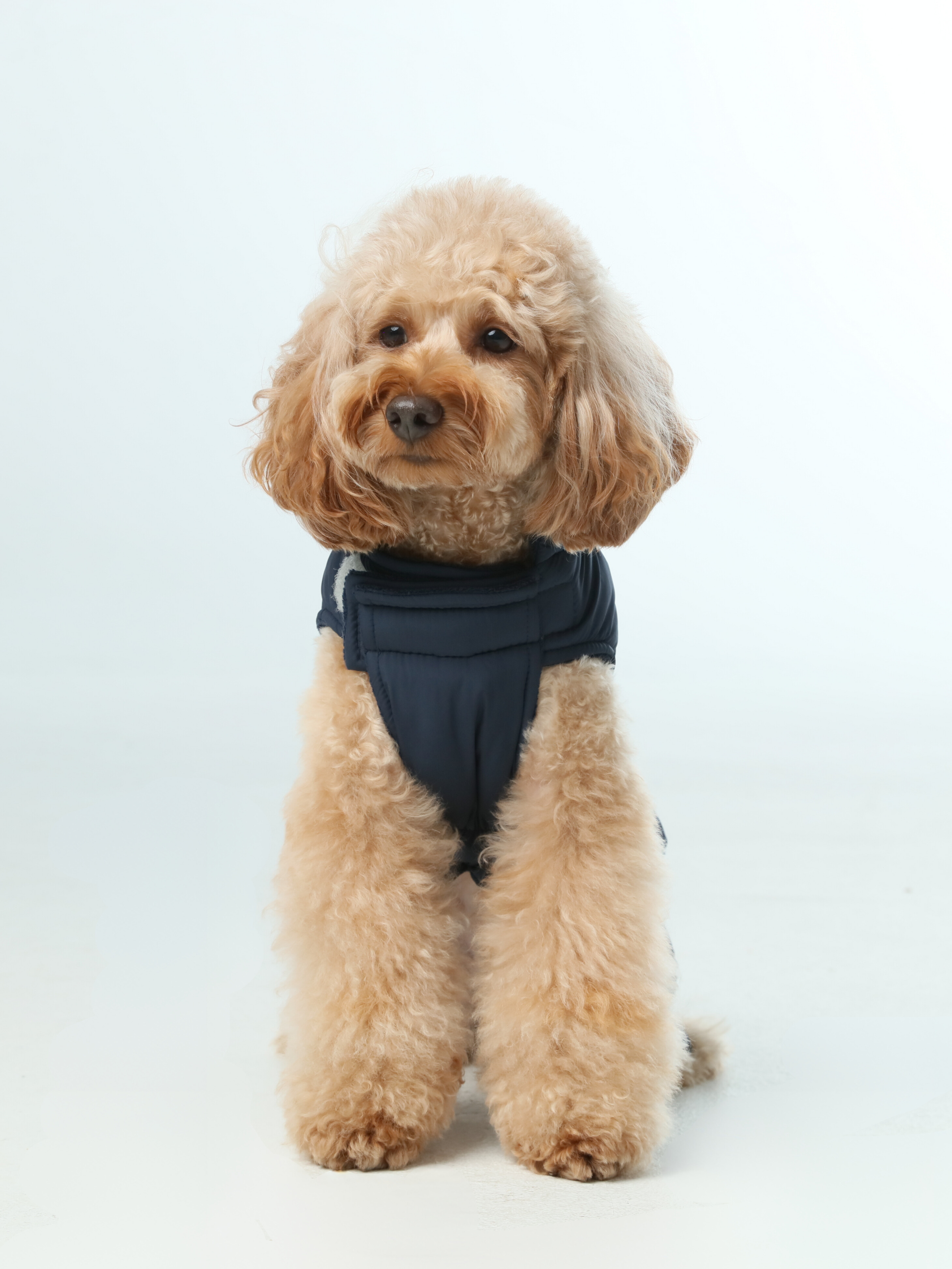 Reversible Dog Vest Jacket | Weatherproof Fleece | Blue | XS–XXL