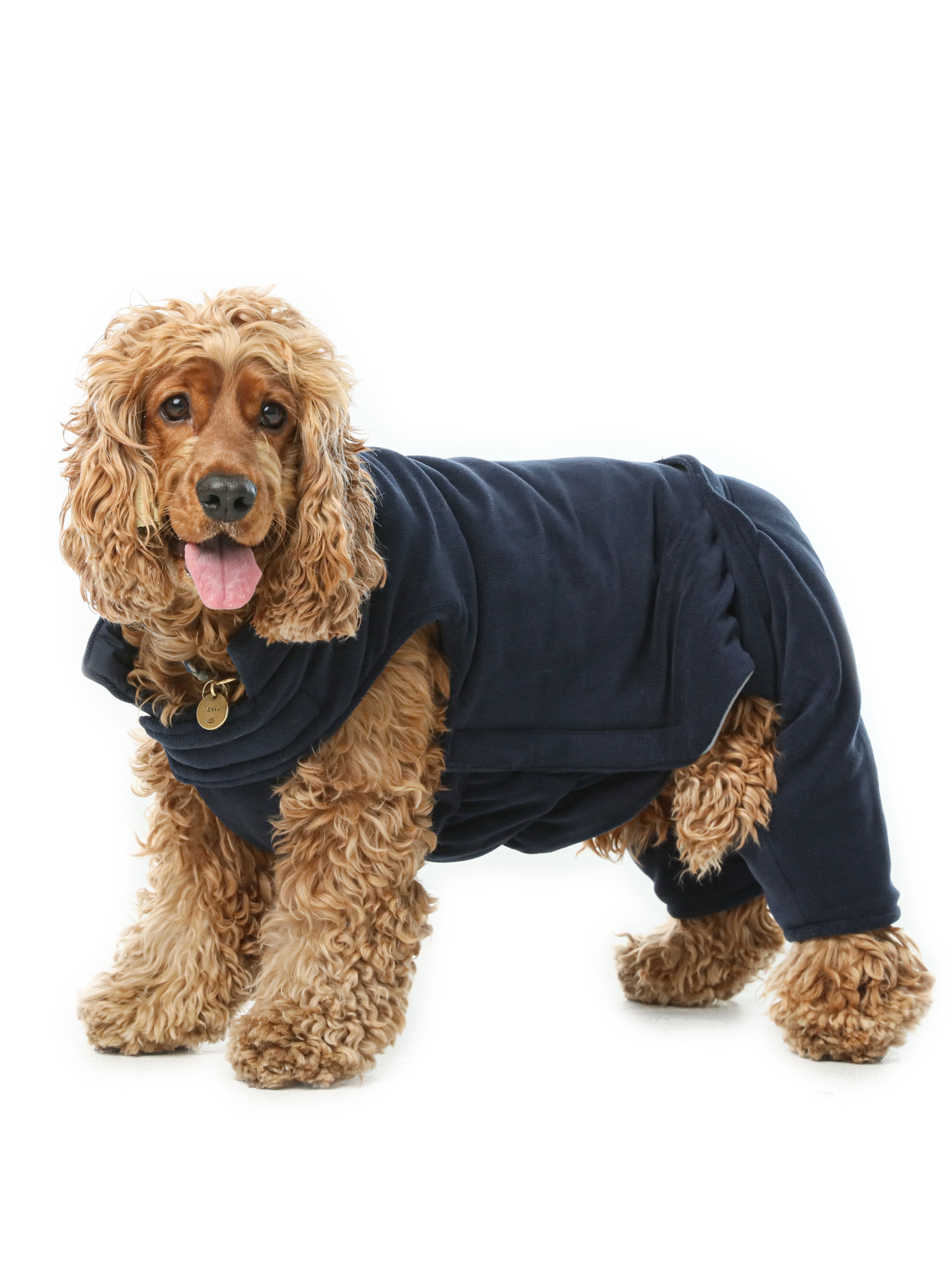 Reversible Dog Vest Jacket | Weatherproof Fleece | Blue | XS–XXL
