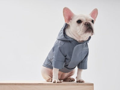 Dog Raincoat | Adjustable Velcro | Convertible Hood | Leash Hole | Sizes XS-XXL | Light Blue