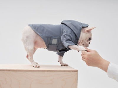 Dog Raincoat | Adjustable Velcro | Convertible Hood | Leash Hole | Sizes XS-XXL | Light Blue