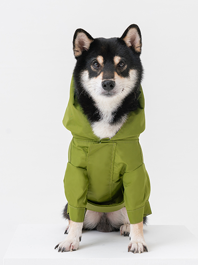 Adjustable Dog Raincoat | Convertible Hood | Waterproof | Olive | XS–XXL