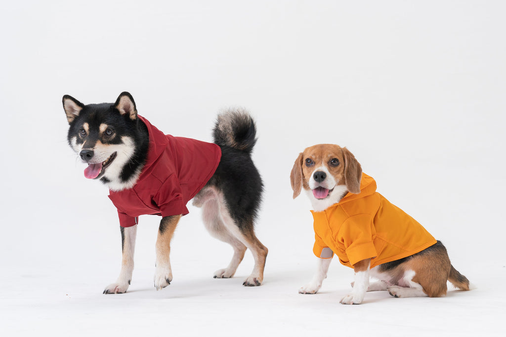 Adjustable Dog Raincoat | Convertible Hood | Waterproof | Olive | XS–XXL