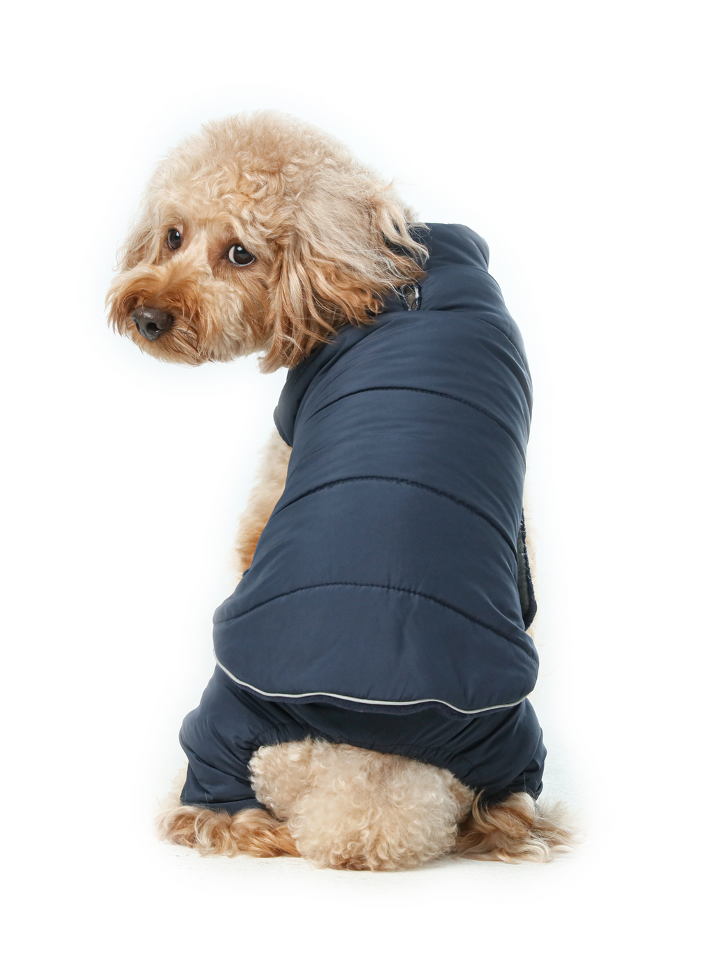 Reversible Dog Vest Jacket | Weatherproof Fleece | Blue | XS–XXL
