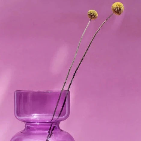 Iris Frosted Glass Vase | Symmetrical Form | Light Play | 11" | Purple & Frosted White | Osmos Studio