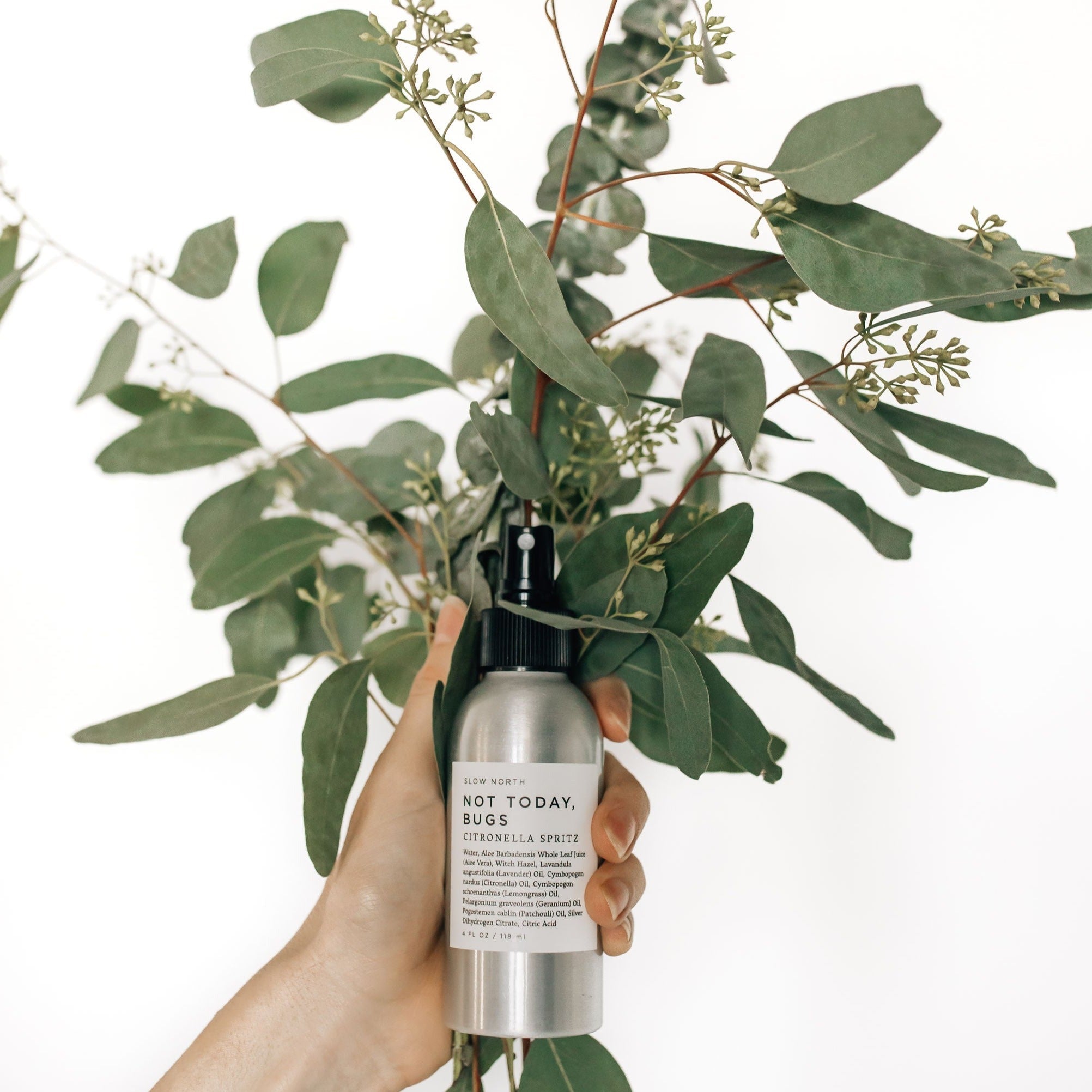 Not Today, Bugs | Natural Bug Repellent Spray | Essential Oils & Aloe Vera | 4 fl oz | Slow North