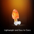 Himalayan Pink Salt Night Light | Handcrafted | Air Purifying