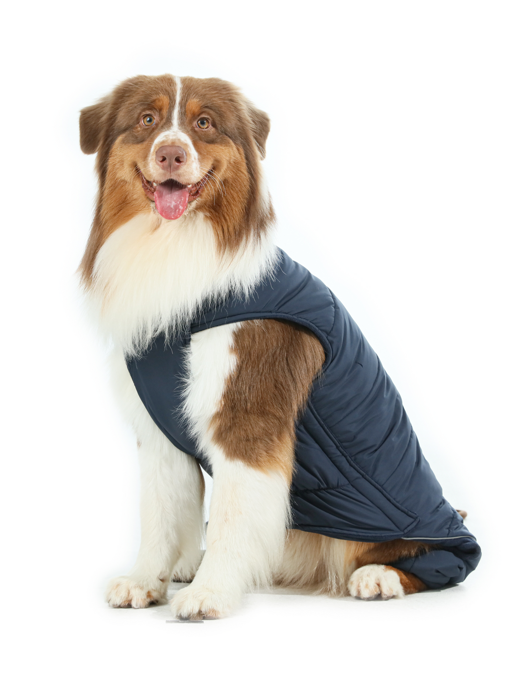 Reversible Dog Vest Jacket | Weatherproof Fleece | Blue | XS–XXL