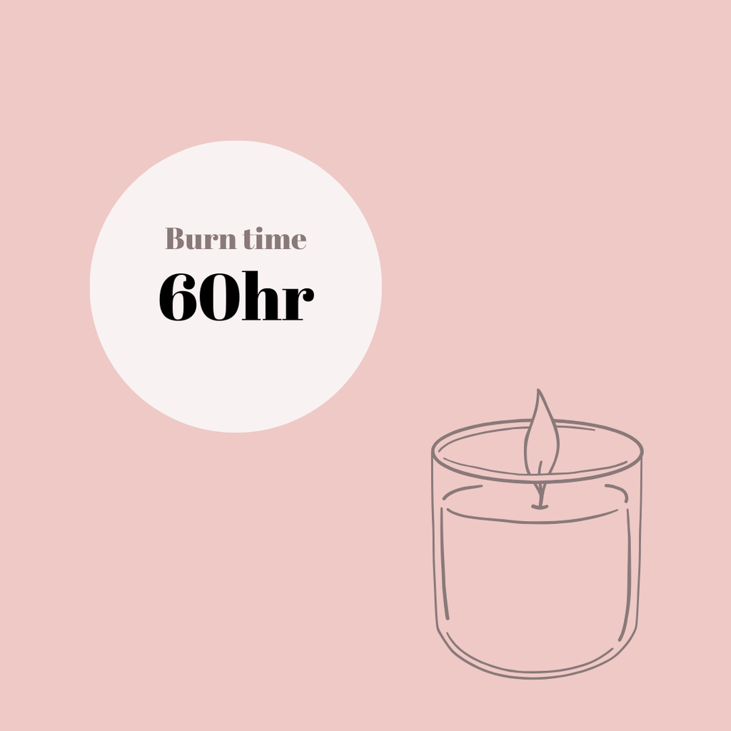 Harvest | Pumpkin Spice Soy Candle | Pure Soy Wax & Essential Oils | 11 oz | 60-70 Hr Burn | TLC Candle Co.