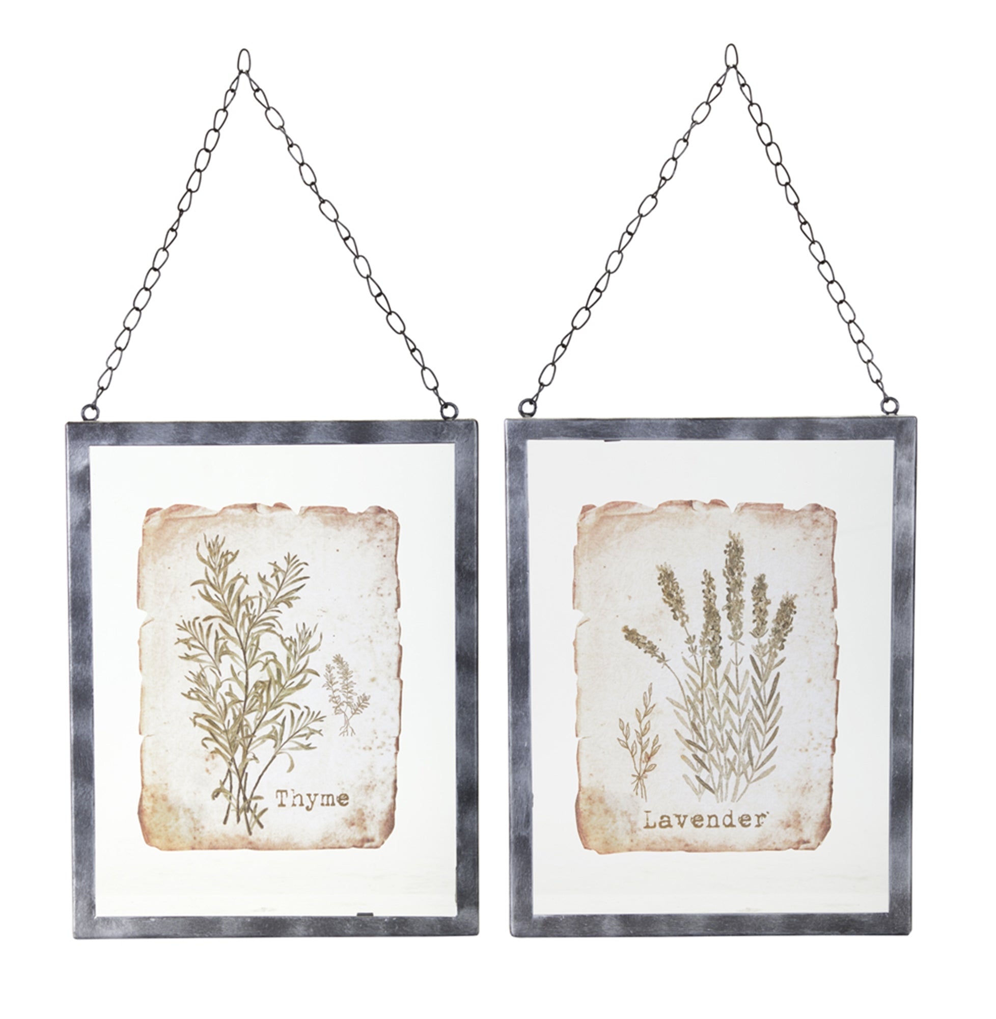 Lavender & Thyme Photo Frame Set of 2 — 9.5" x 12.5" Glass & Metal