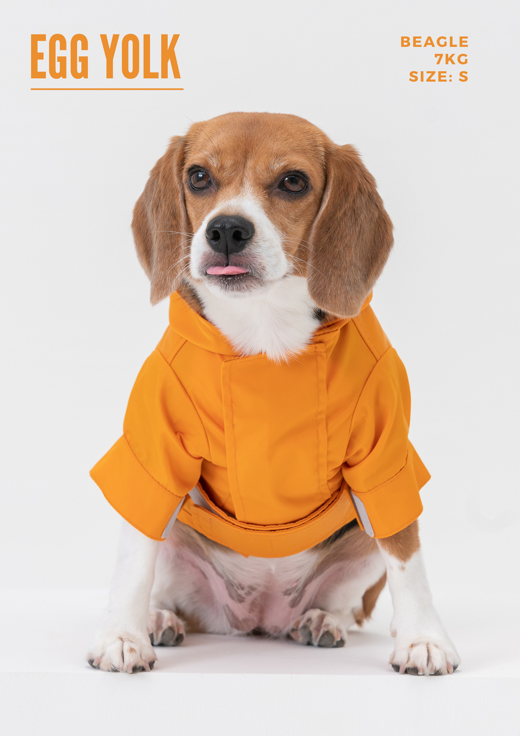 Dog Raincoat | Adjustable Velcro | Convertible Hood | Leash Hole | Sizes XS-XXL | Light Blue