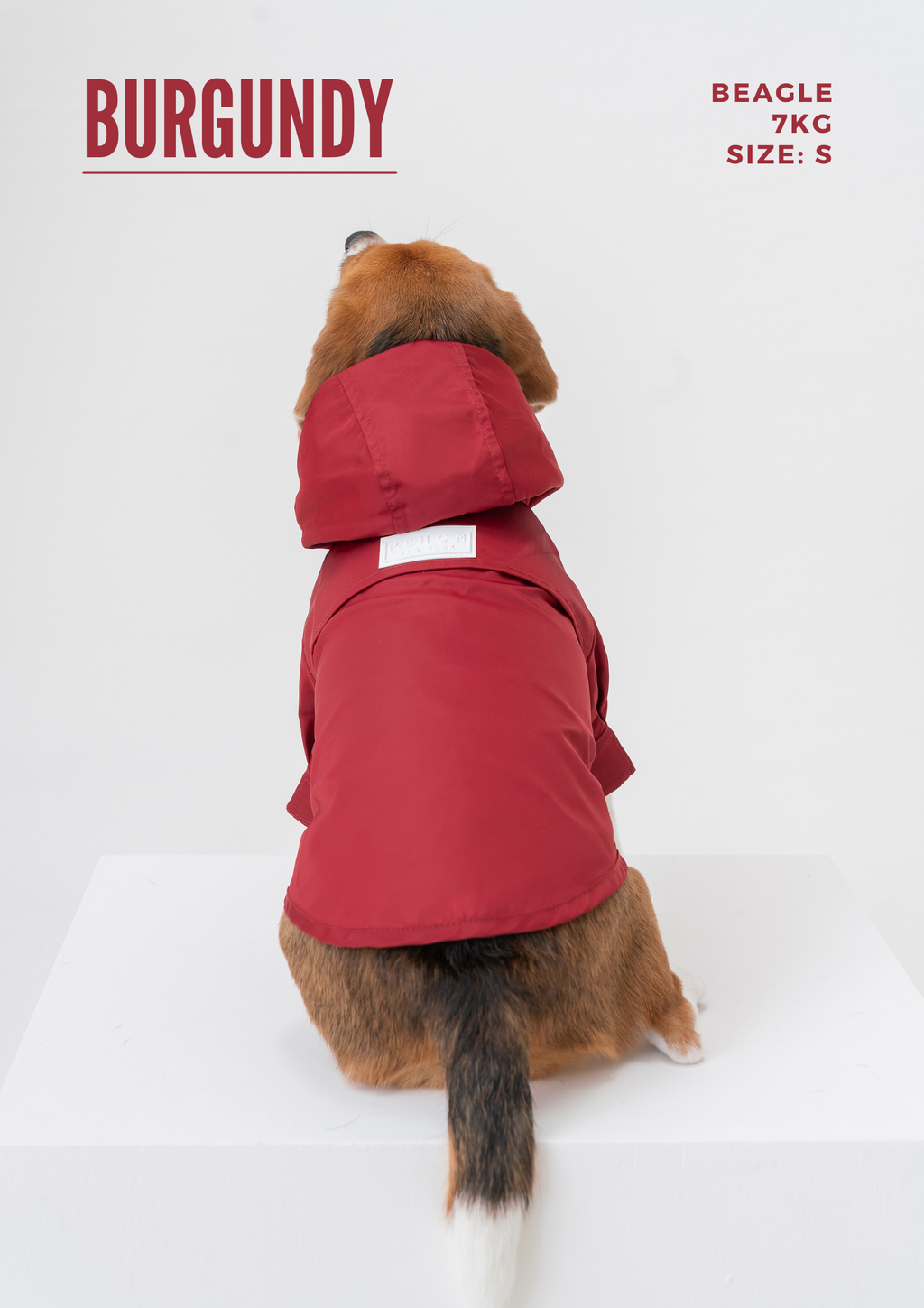 Dog Raincoat | Adjustable Velcro | Convertible Hood | Leash Hole | Sizes XS-XXL | Light Blue