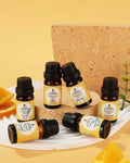 Pet-Friendly Aromatherapy Essential Oils | 6-Pack | Cedarwood, Chamomile, Frankincense, Ginger, Lavender & Rosemary | PURSONIC