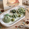 Arizona Dream Cactus Garden Candle — Sculptural Soy Wax in Carved Wood Bowl