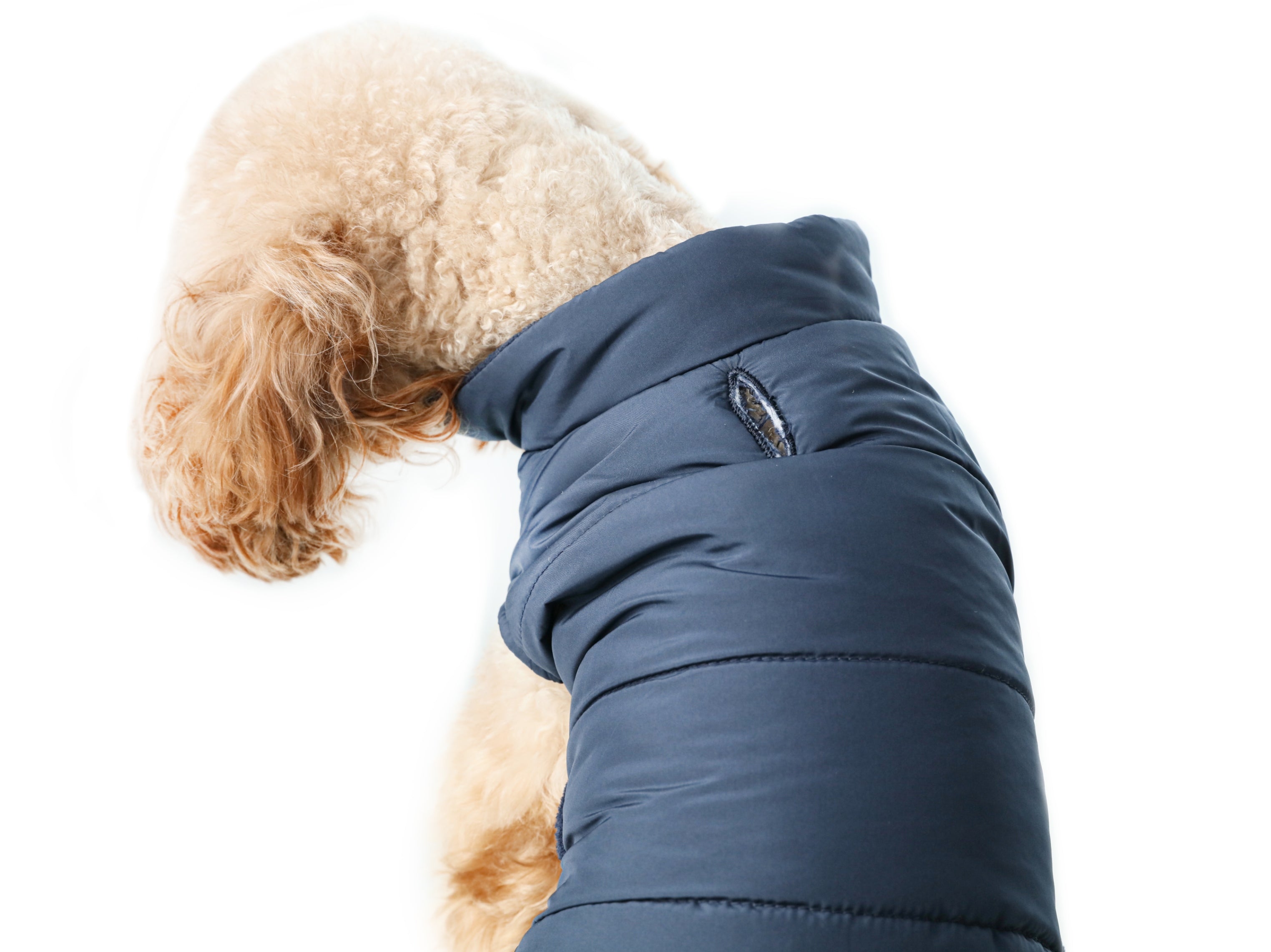 Reversible Dog Vest Jacket | Weatherproof Fleece | Blue | XS–XXL
