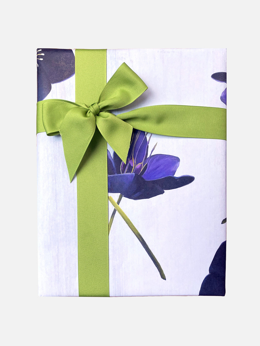 Gift Wrap:  Black Hellebore on Snow