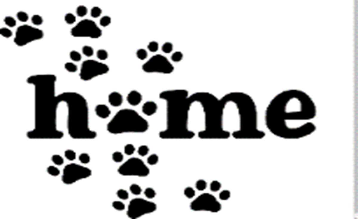 Coir Doormat, 60cm x 40cm - 'Home' (Paws)