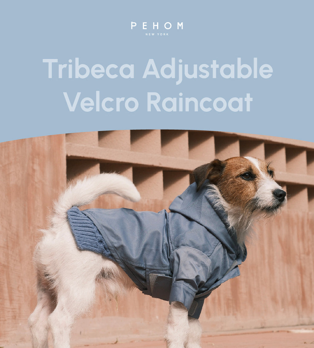 Dog Raincoat | Adjustable Velcro | Convertible Hood | Leash Hole | Sizes XS-XXL | Light Blue