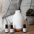 Essential Oil Diffuser Blends | 100% Pure | Flame-Free Aromatherapy | Amber Glass | 14 Scents | Slow North