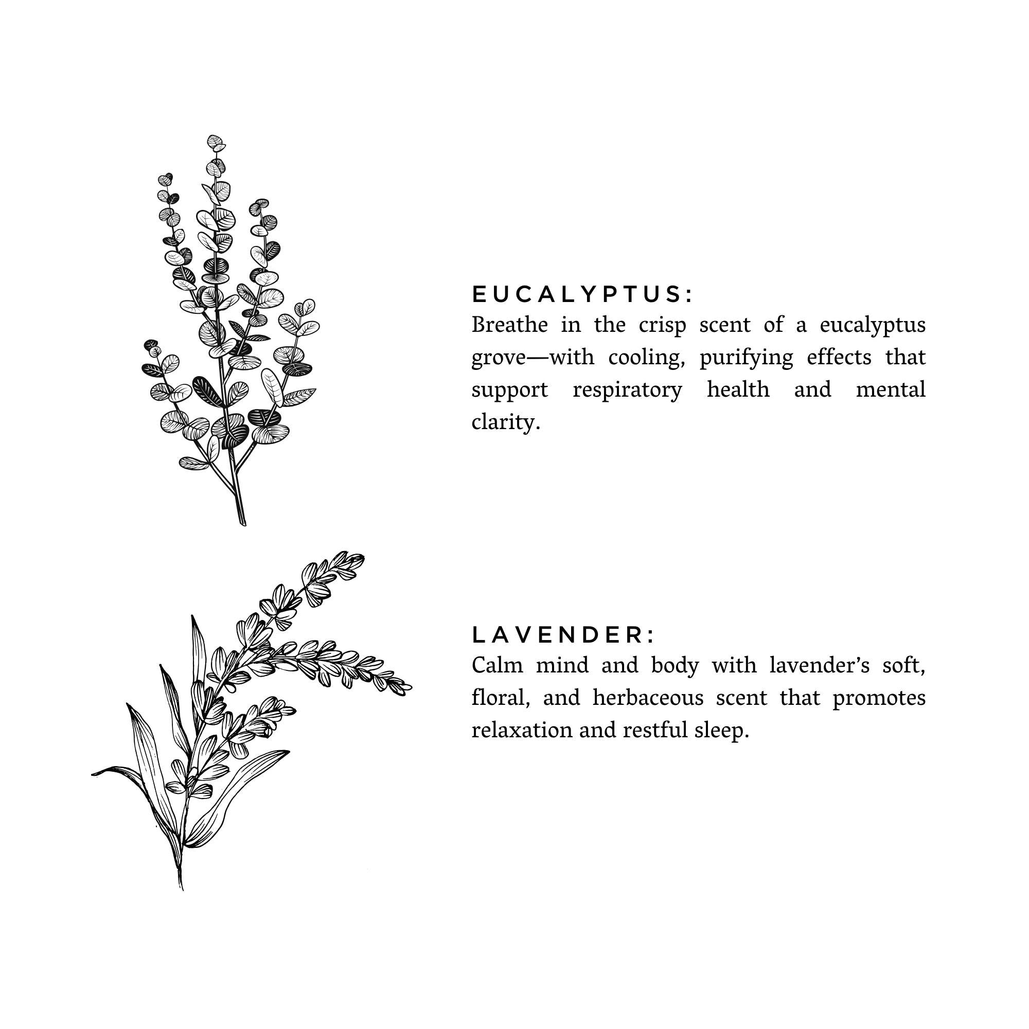 Eucalyptus + Lavender All-Natural Laundry Powder | 50 Loads | 17oz