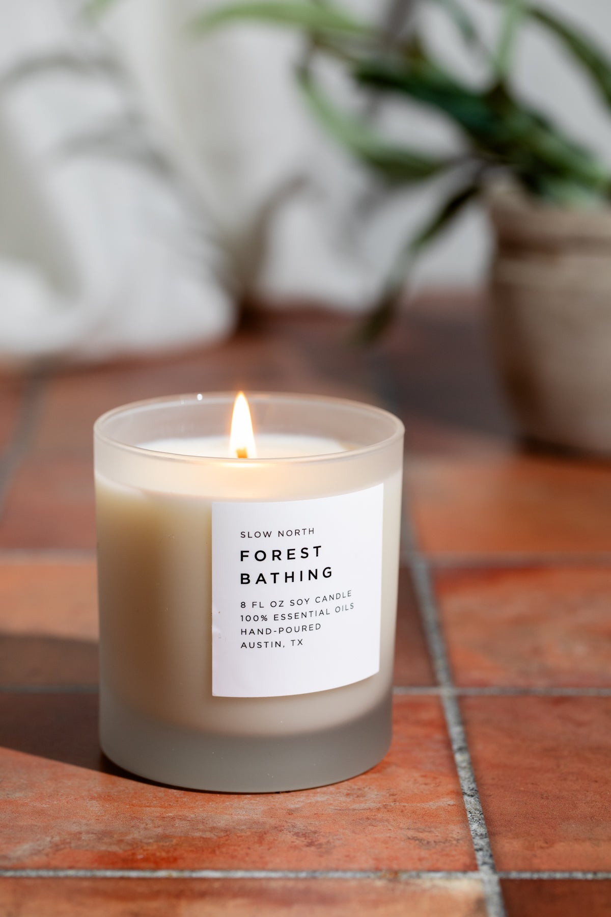 Forest Bathing Signature Candle | Fir, Pine & Patchouli | Made in Austin, Texas