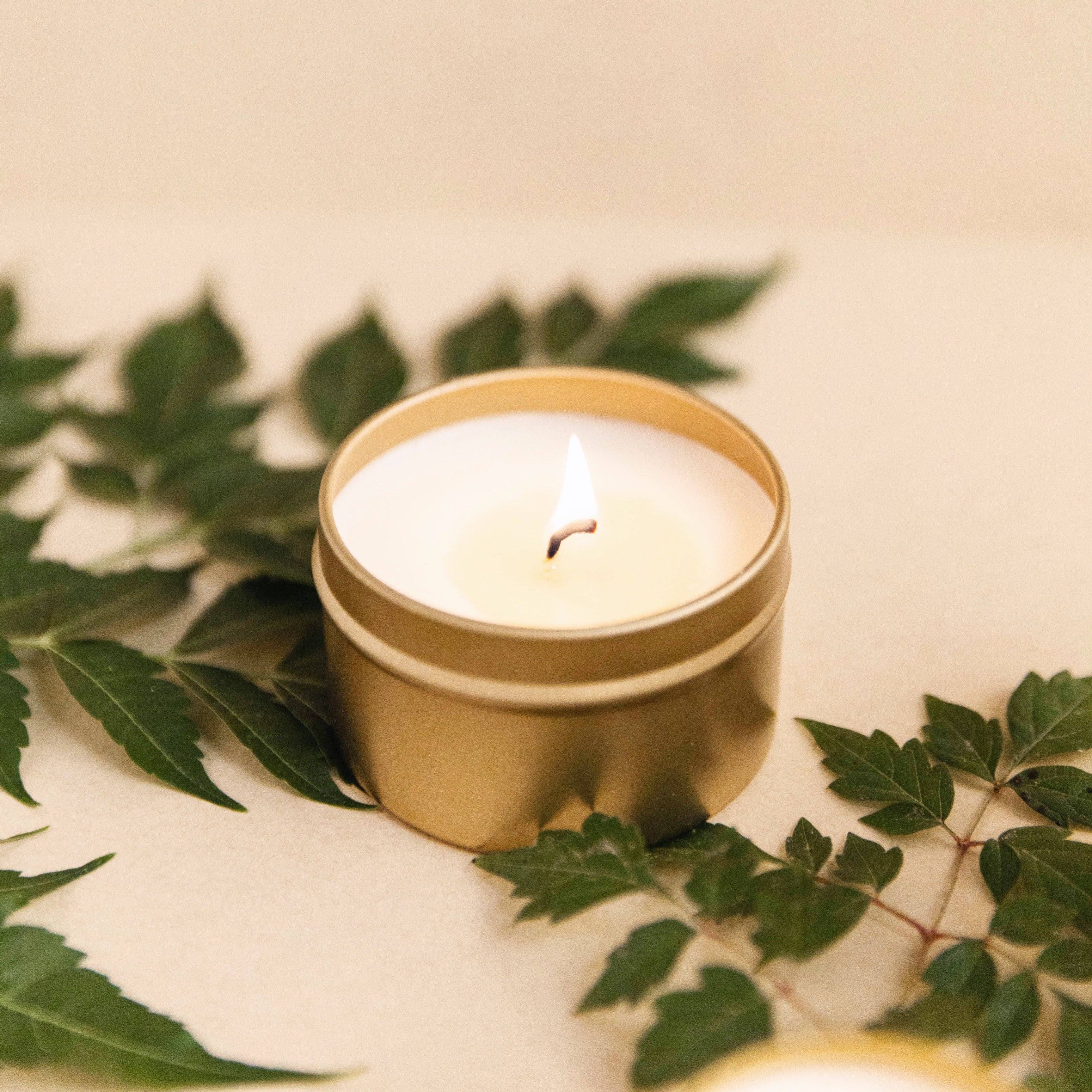 Forest Bathing Soy Candle | Fir, Pine Needle & Patchouli | 100% Essential Oils | Non-Toxic | Cotton Wick | Reusable Gold Tin | 20-Hour Burn | Slow North