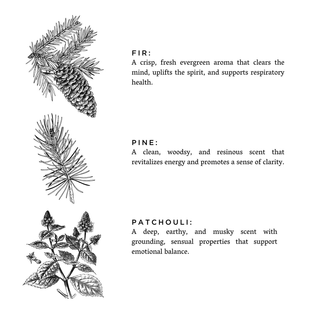 Forest Bathing Signature Candle | Fir, Pine & Patchouli | Made in Austin, Texas