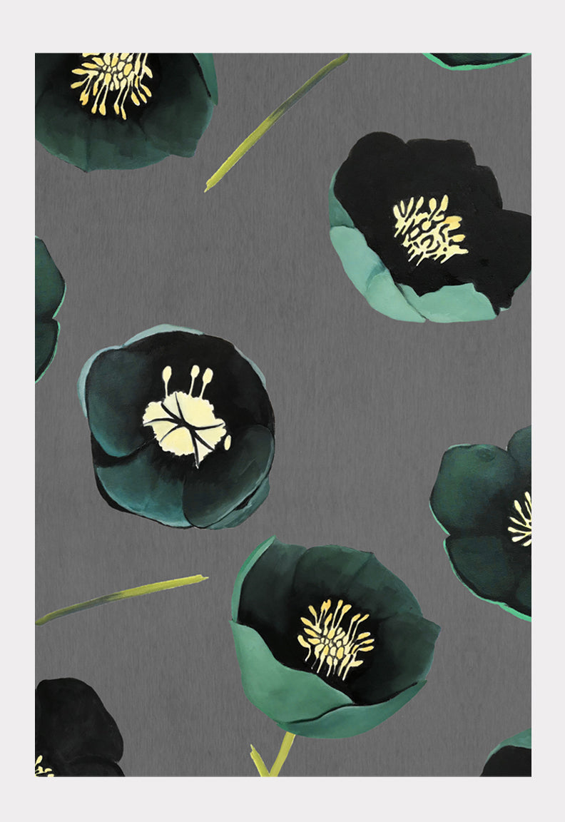 Art Print:  Green Winter Rose on Charcoal