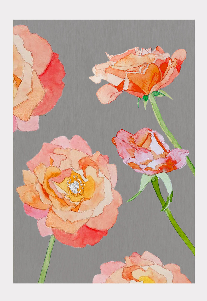 Peach Roses on Grey Art Print