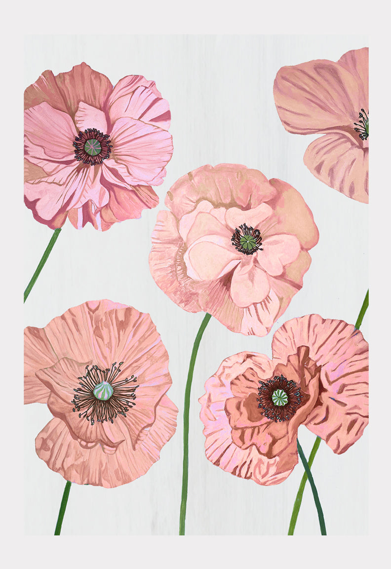 Art Print: Rose Poppies on Pale Grey | Signed Oil Painting Print