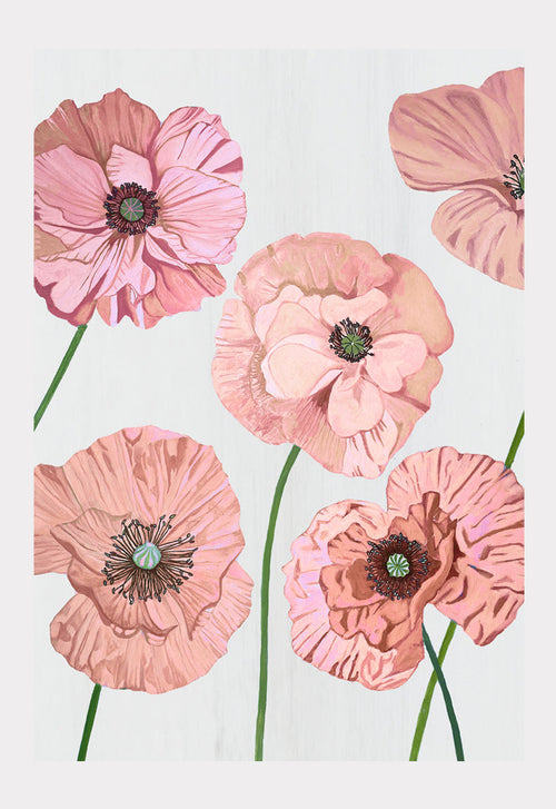 Art Print: Rose Poppies on Pale Grey | Signed Oil Painting Print