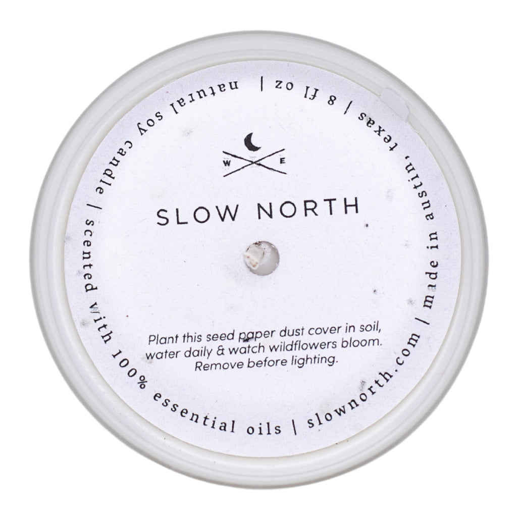 Forest Bathing Signature Candle | Fir, Pine & Patchouli | Made in Austin, Texas