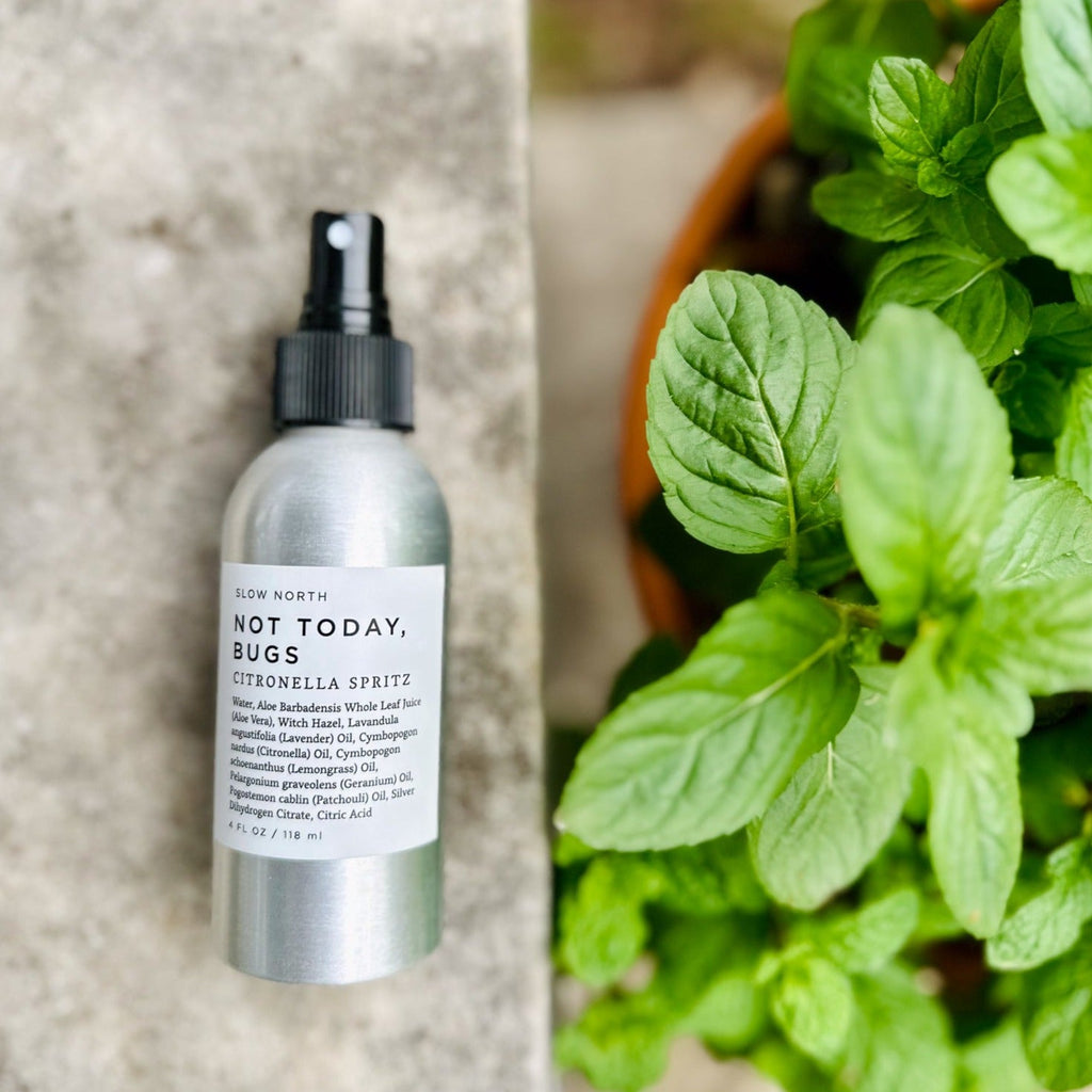 Not Today, Bugs | Natural Bug Repellent Spray | Essential Oils & Aloe Vera | 4 fl oz | Slow North