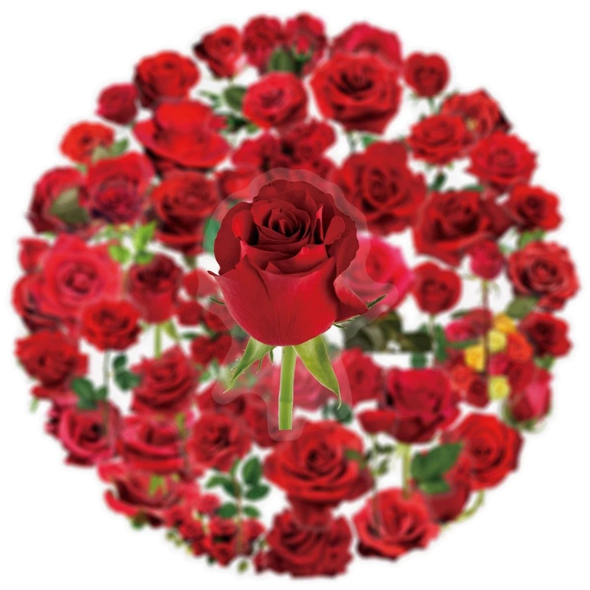 50/200PCS Transparent PET Flower Plant Material Stickers Handbooks
