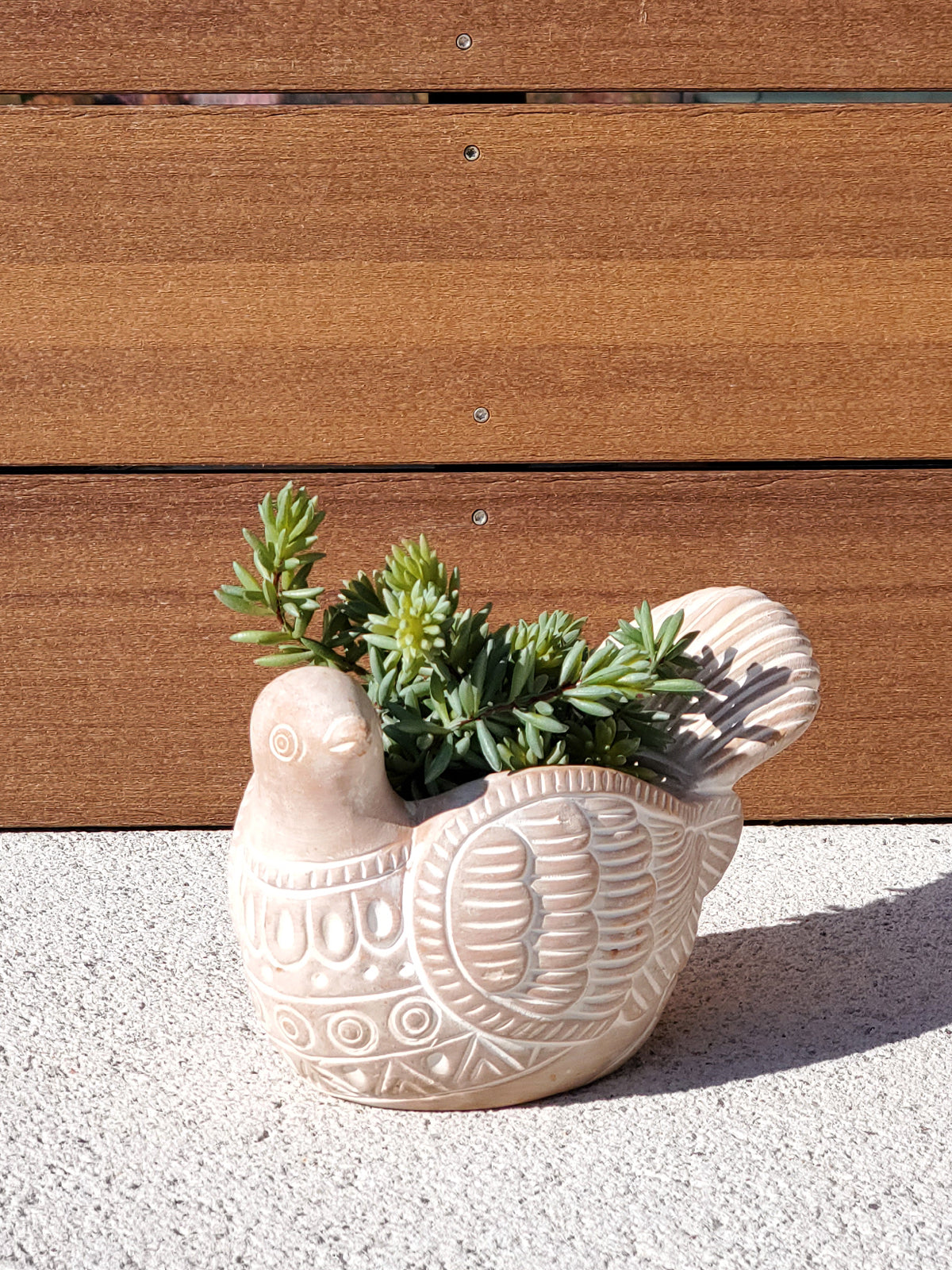 Turtle Dove Terracotta Planter | Handcrafted Clay Pot | Made in Bangladesh | Indoor & Outdoor | Korissa