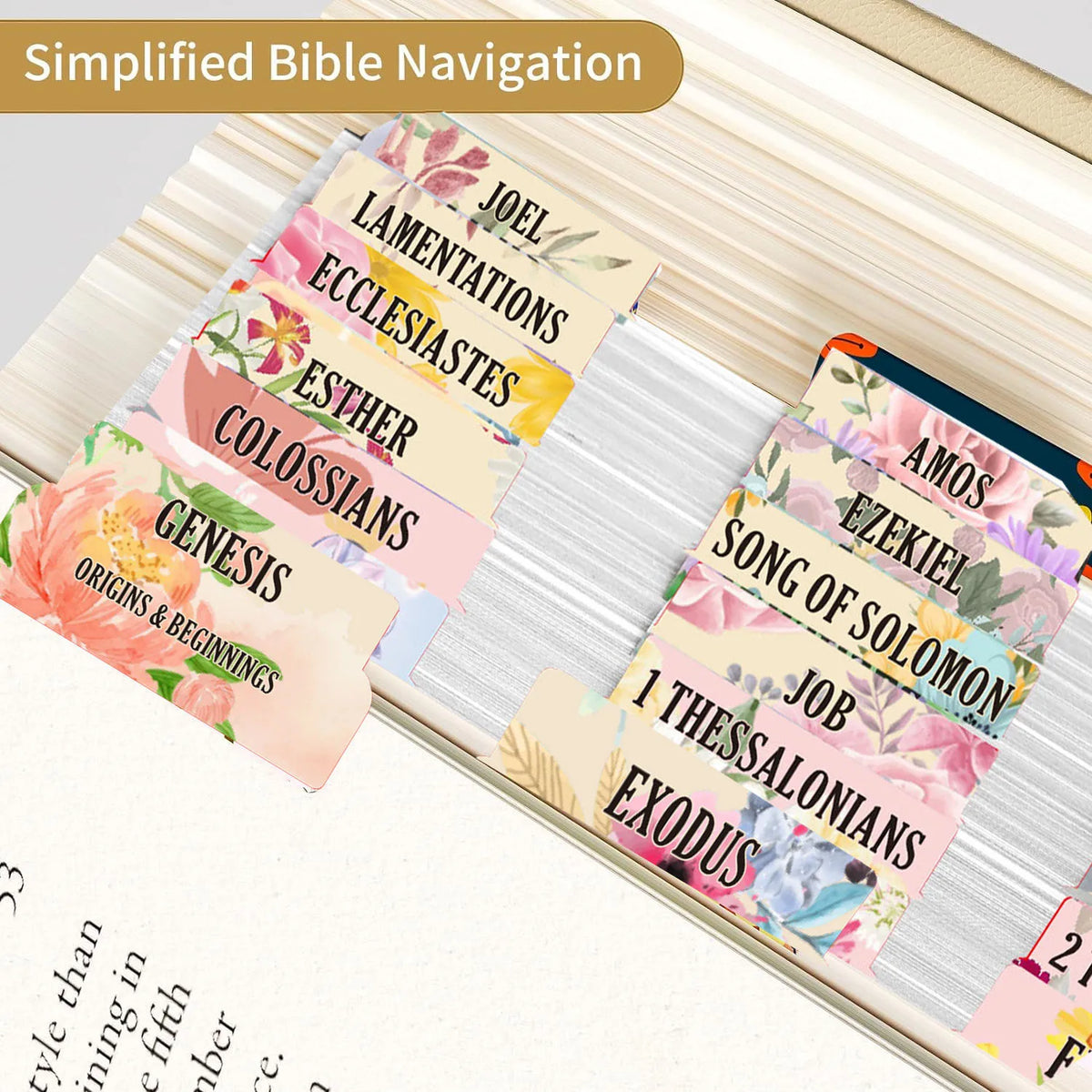 75pcs Large Font Sacred Text Index Tabs Inspirational Book Titles &