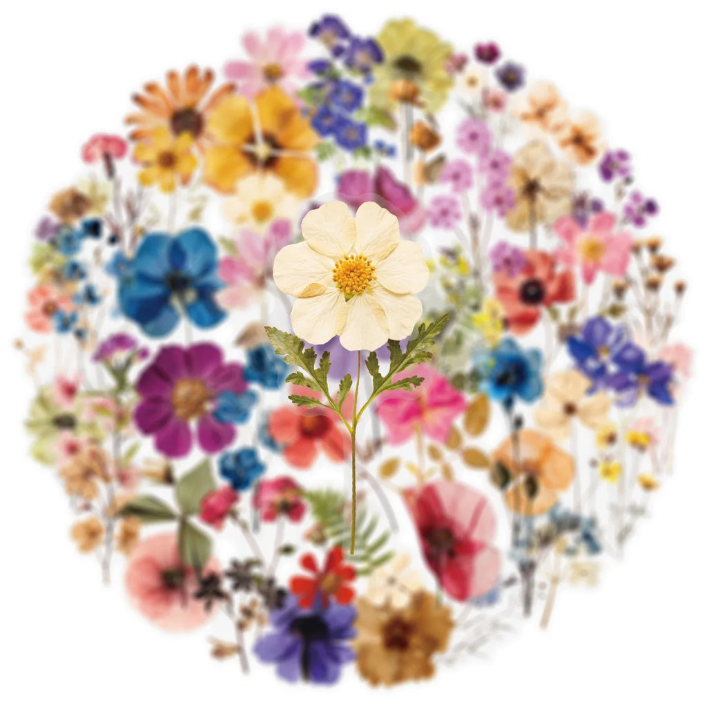 50/200PCS Transparent PET Flower Plant Material Stickers Handbooks