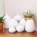 Imperfect Whitney Vases