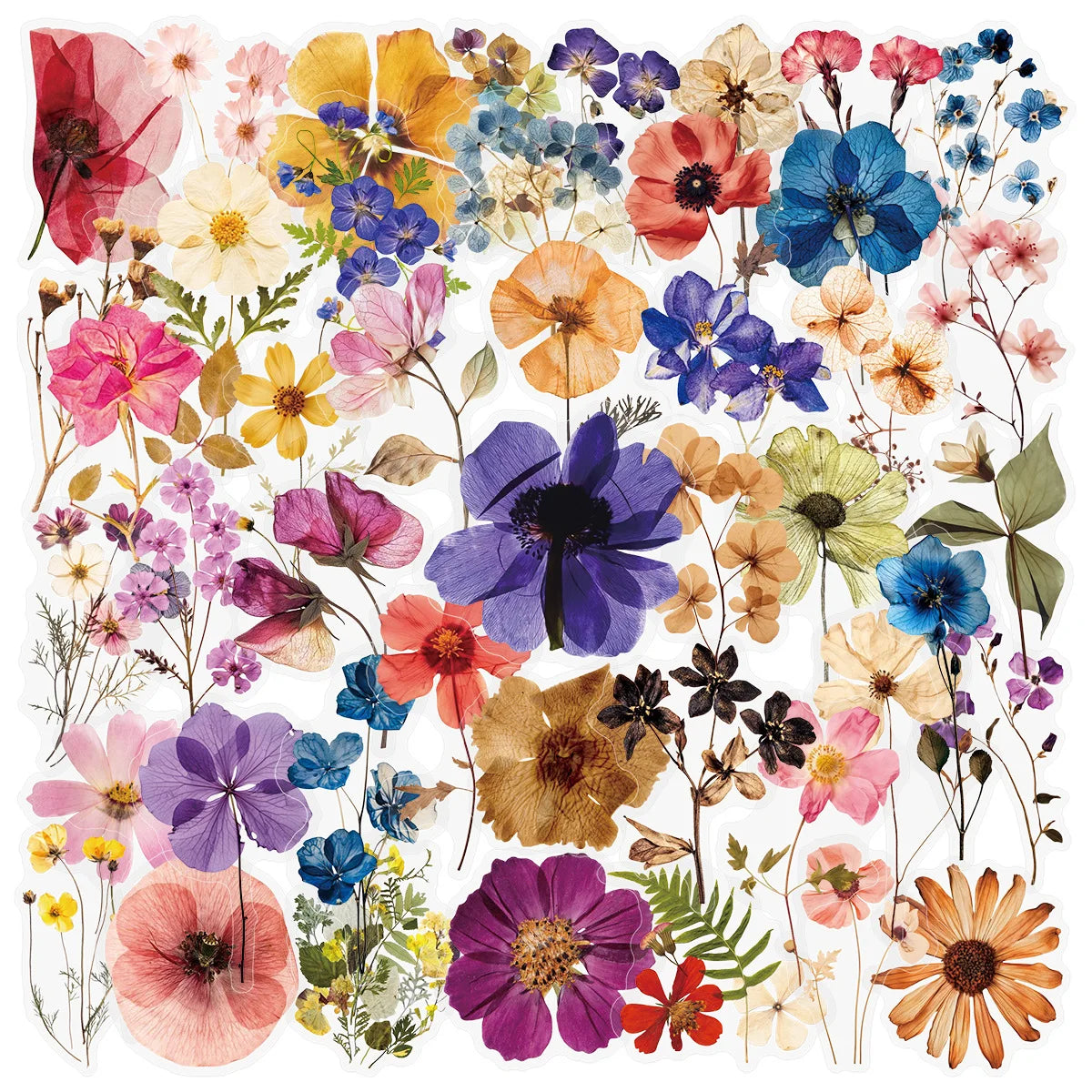 50/200PCS Transparent PET Flower Plant Material Stickers Handbooks