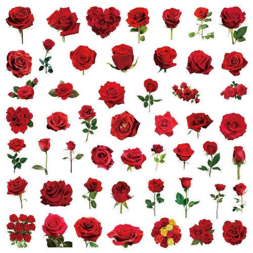 50/200PCS Transparent PET Flower Plant Material Stickers Handbooks