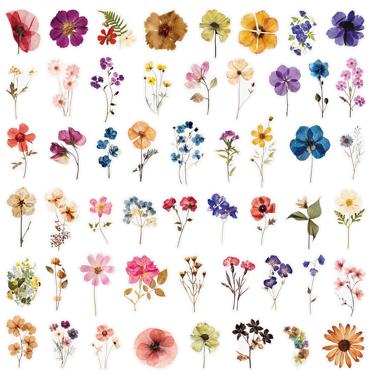 50/200PCS Transparent PET Flower Plant Material Stickers Handbooks