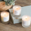 Warm + Comforting Trio | Signature Soy Candle Bundle | 3 x 8 oz | 100% Soy & Pure Essential Oils | Slow North