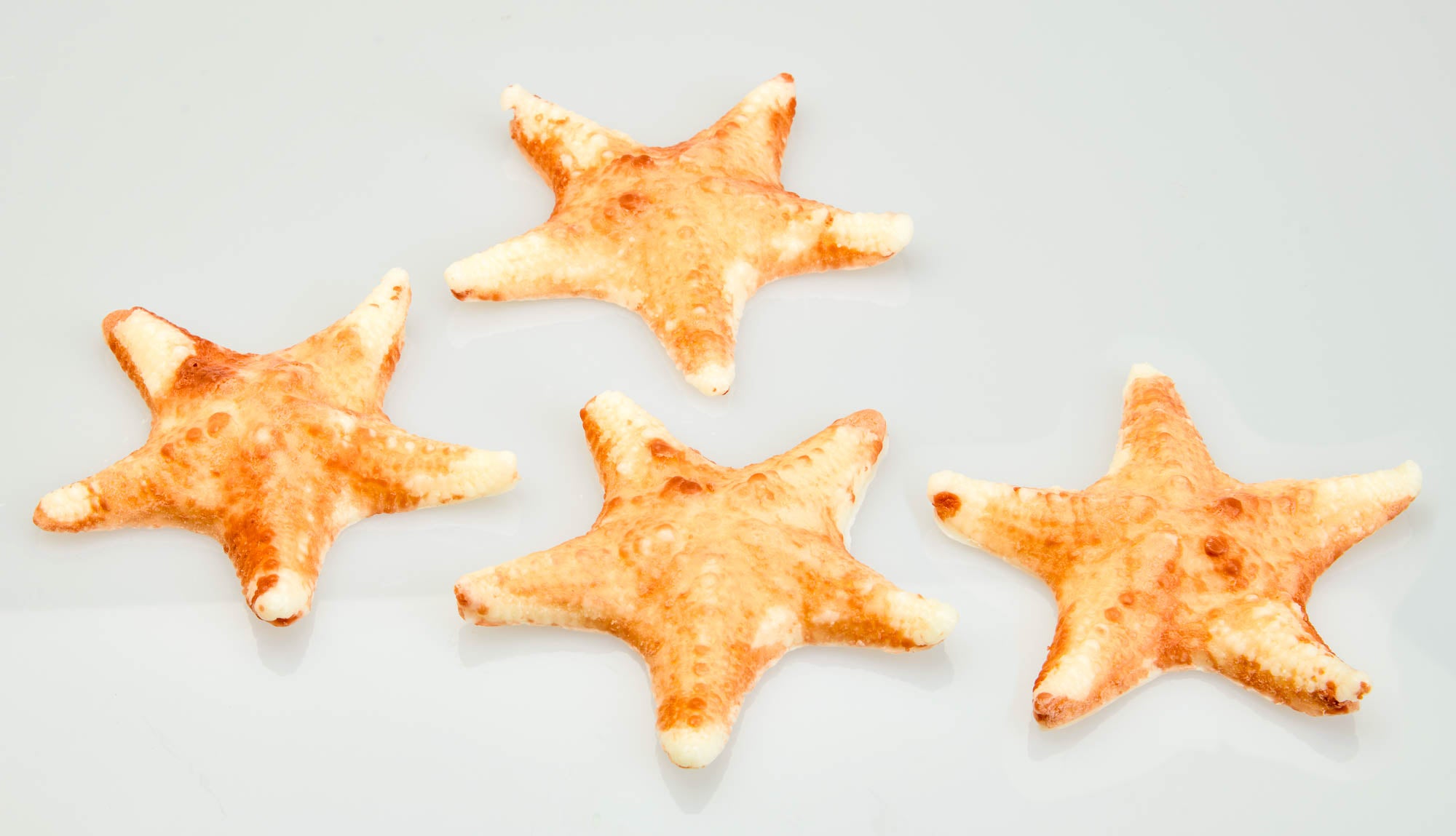 Starfish Soap | Island Citrus | Goat's Milk | 3.5 oz | Handcrafted | The Grecian Soap Company