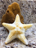 Starfish Soap | Island Citrus | Goat's Milk | 3.5 oz | Handcrafted | The Grecian Soap Company