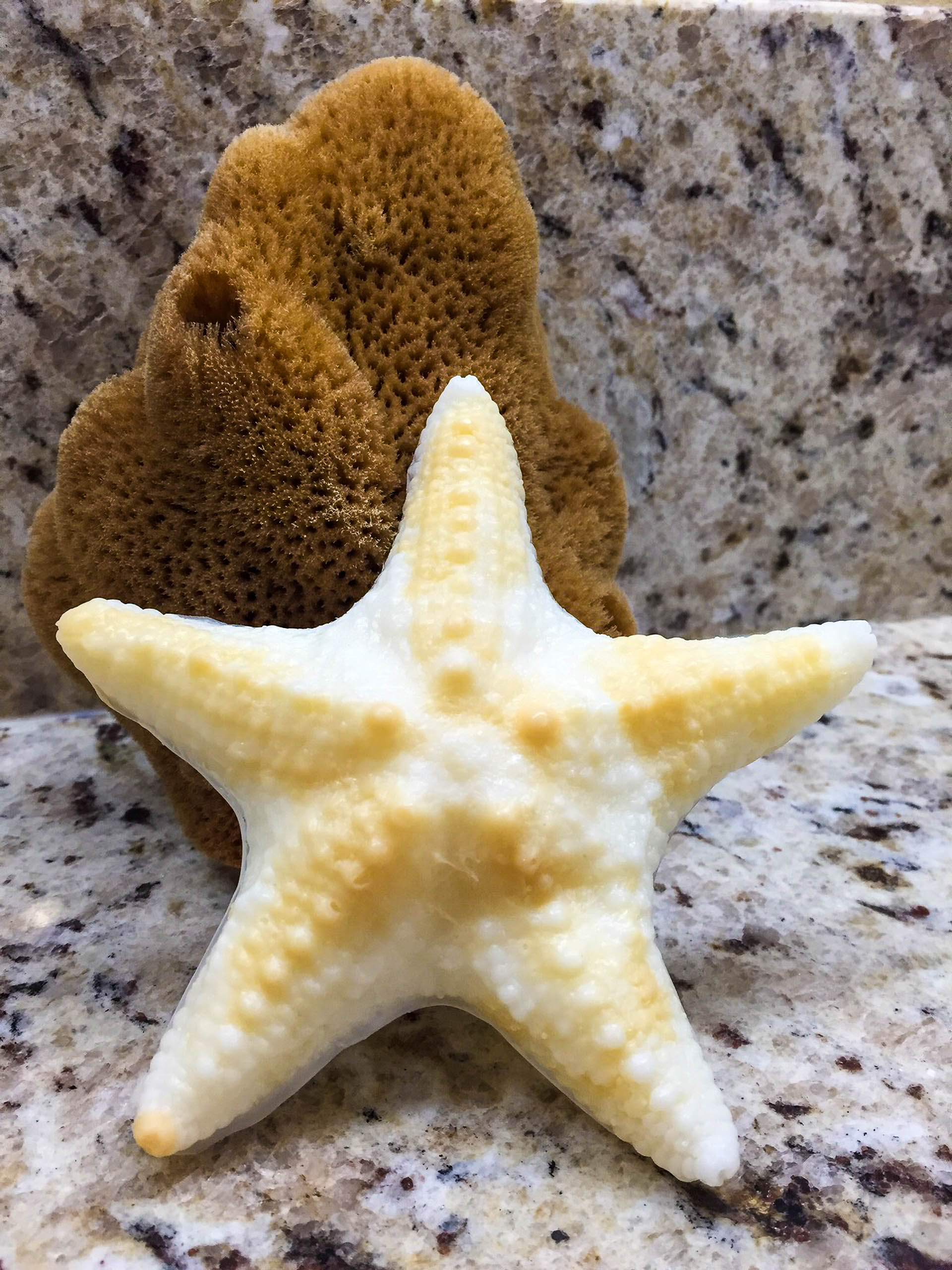 Starfish Soap | Island Citrus | Goat's Milk | 3.5 oz | Handcrafted | The Grecian Soap Company