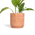 Grid Terracotta Planter Small | 8" | Handcrafted in Honduras | Made to Order | Meso Goods