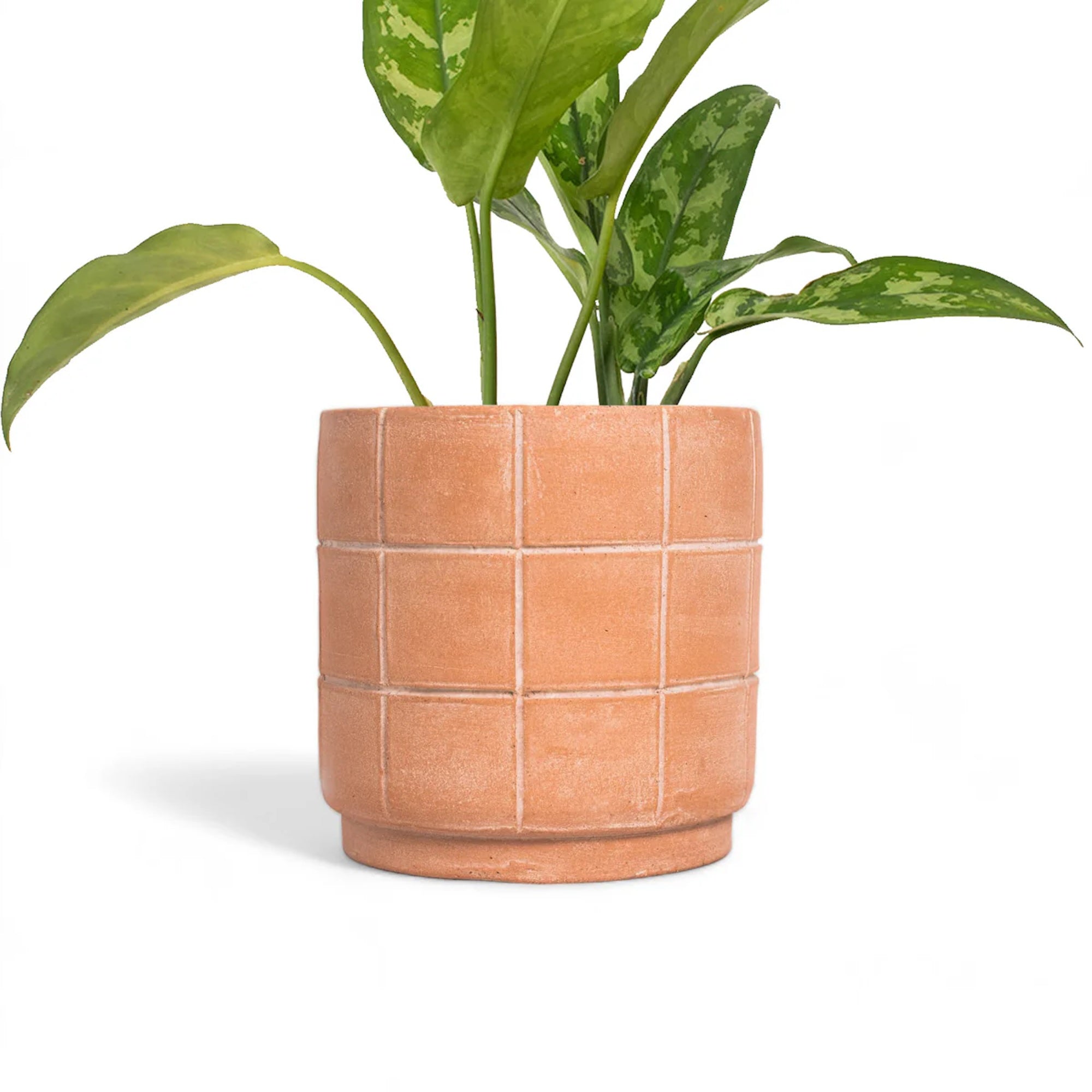 Grid Terracotta Planter Small | 8" | Handcrafted in Honduras | Made to Order | Meso Goods