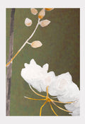 Queen Anne's Lace on Green | Signed Botanical Oil Print | Archival Paper | 3 Sizes | India & Purry