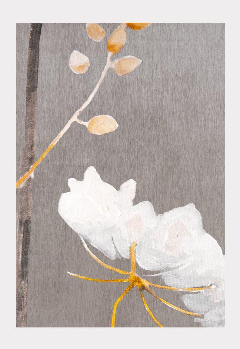 Queen Anne's Lace on Grey | Signed Botanical Oil Print | Archival Paper | 3 Sizes | India & Purry