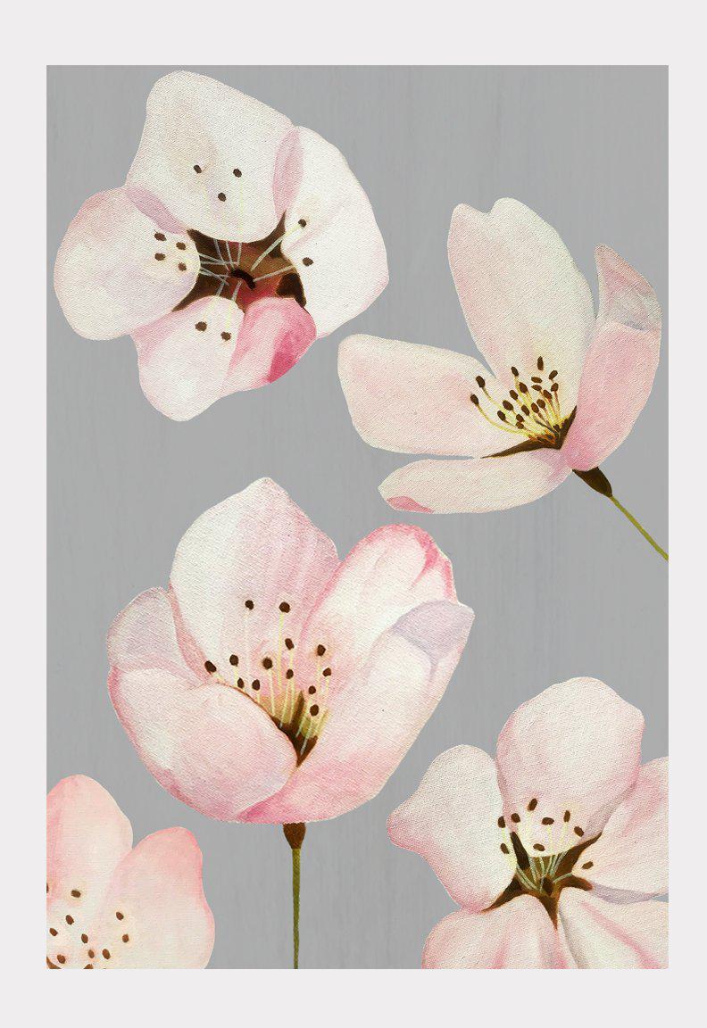Art Print – Cherry Blossoms on Grey | Signed Oil Painting Print